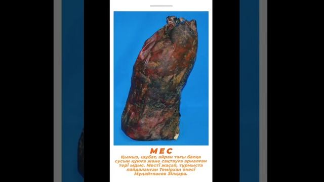 Музей қорындағы экспонаттар тарихы смотреть онлайн