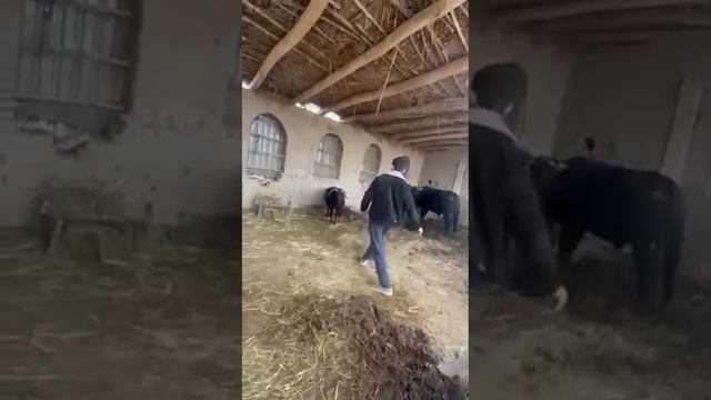 Отдача прилетела
