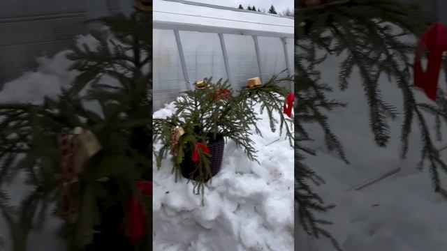 С Новым годом друзья!