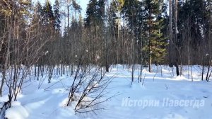 Незаслуженно уволенная акушерка, собирая ягоды в лесу, нашла странную корзинку. Заглянув в нее…