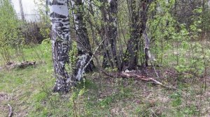 Неожиданная находка, часть 2