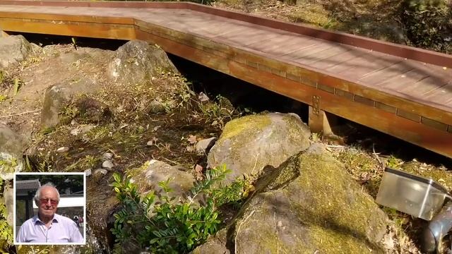 Простые, но милые парковые мостики в Японии смотреть онлайн