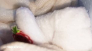 Убираюсь в Милкином шкафу и собираю Милку гулять