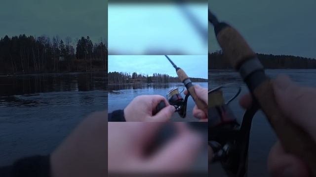 на блесну #fishing #рыбалка