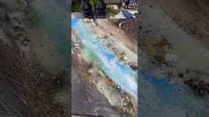 Сбор мха, сушка, заливка в эпоксидную смолу