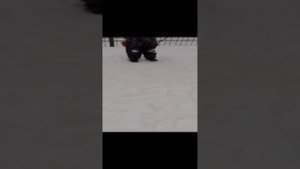 1000005837.mp4