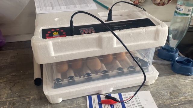 ИНКУБАТОР. ИНКУБАЦИЯ КУРИНОГО ЯЙЦА смотреть онлайн