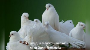"Я ПТИЦА, Я ГОЛУБКА - ПТАХА" - ПОЭТ НИНА ИГНАТОВА