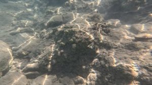 Турция. Экскурсия по островам Эгейского моря. Дно Эгейского моря. 2024.