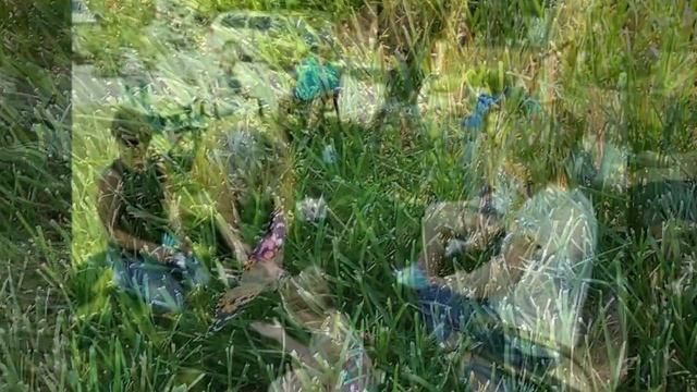 2020 "Take Flight" Butterfly Release Photo and Video Montage смотреть онлайн