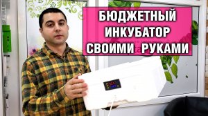 Инкубатор для яиц эублефаров из пенопласта своими руками