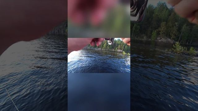 Щучка на воблер #fishing #fishingvideo #рыбалка