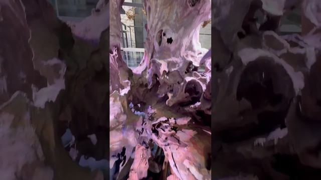 Ну что, заливаем воду?#shorts #Композиция #Аквариум #МашаБлюм смотреть онлайн