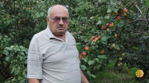 Абрикосовый Рай по методике садоводства Валерия Железова.  Серия 1. (Съемка 2016 года.)