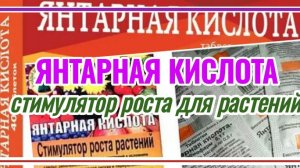 Янтарная кислота