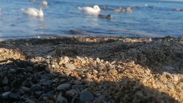 Феодосия