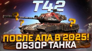 T42 ПОСЛЕ АПА В 2025 ГОДУ И ОБЩИЙ ИТОГ! МИР ТАНКОВ