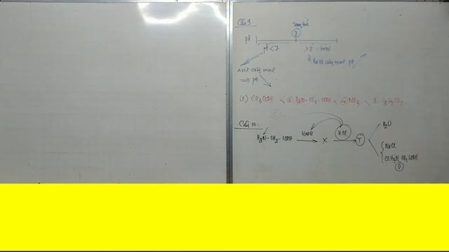 HỌC TỐT HÓA 12 - TỔNG KẾT BÀI AMINO AXIT - ĐỀ 016 . Tải đề dưới phần mô tả смотреть онлайн