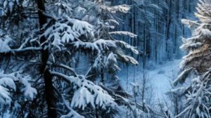 Короткие реальные рассказы из жизни - История о волке, который пришёл на помощь человеку - Слушать