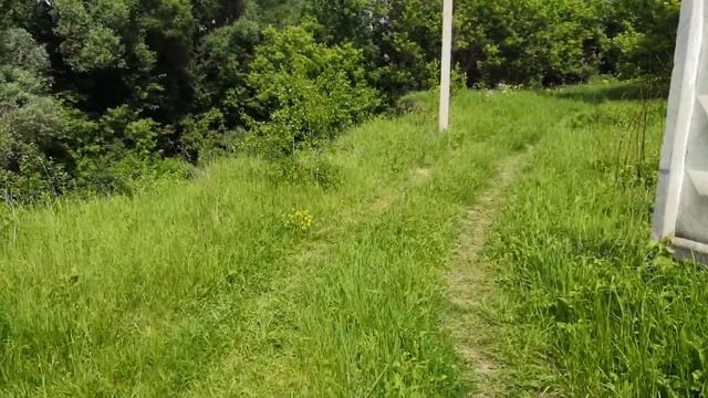 Сброс нечистот в Оку и в Мышегу продолжается 03.06.2019 смотреть онлайн