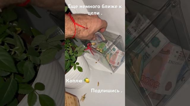Коплю миллион. Как стать миллионером. Еще один шаг к мечте. Мотивация. Заработать миллион. Орёл