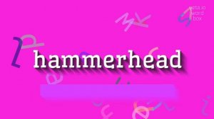 HAMMERHEAD - HOW TO SAY HAMMERHEAD? #hammerhead