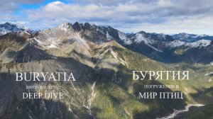 Мир птиц (Республика Дагестан) Dagestan birds wildlife deep dive