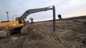 отгрузка подсолнуха завоз семян ячменя