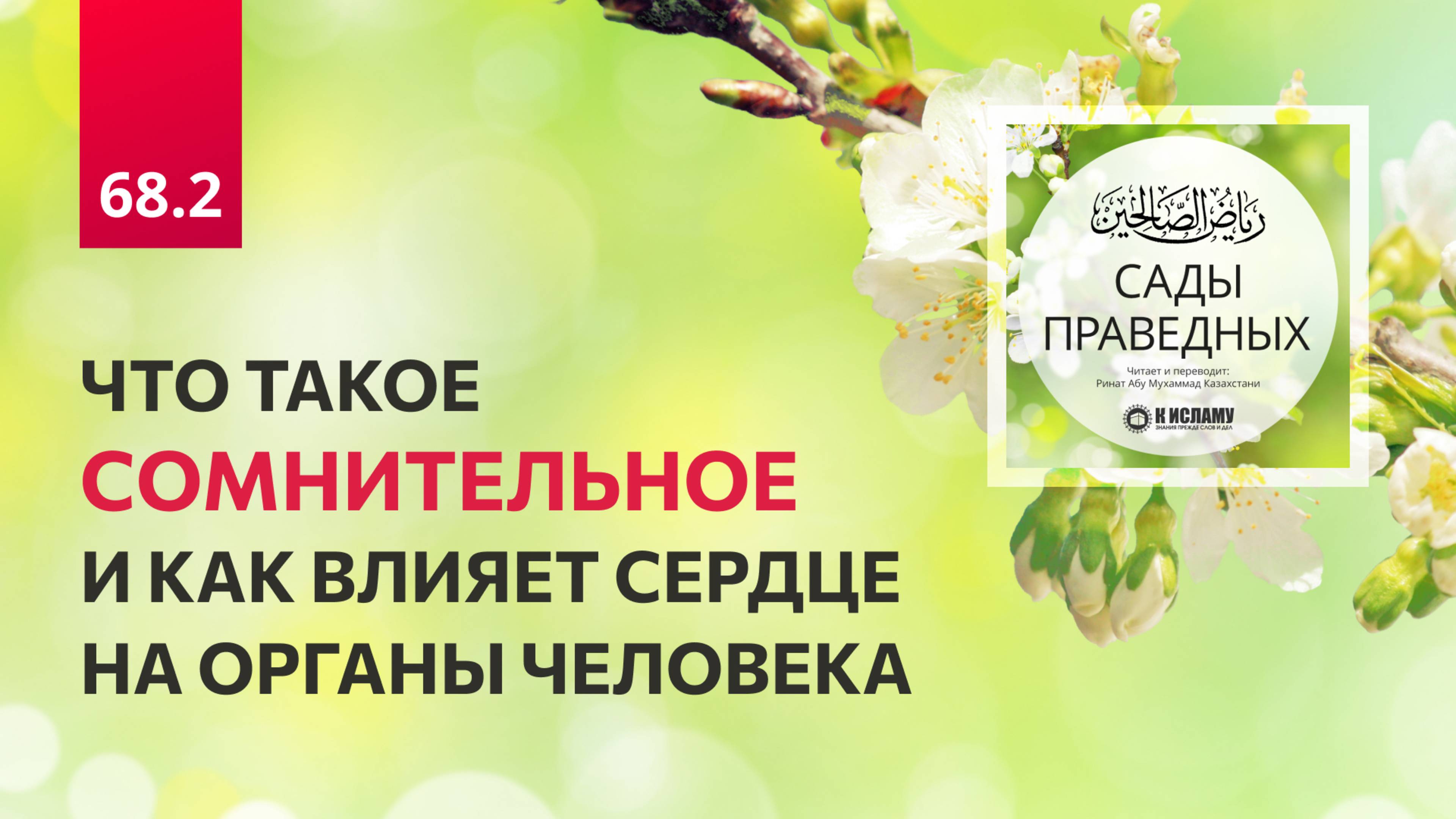 68.2 Сады праведных. ЧТО ТАКОЕ СОМНИТЕЛЬНОЕ И КАК ВЛИЯЕТ СЕРДЦЕ НА ОРГАНЫ ЧЕЛОВЕКА. Хадис 588