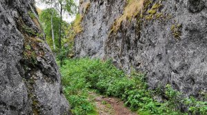Пляжный поиск с металлоискателем. Нашёл золото. Нокта макро симплекс