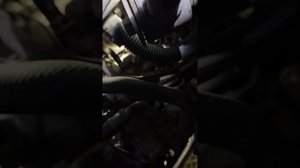 2013 toyota hilux vin and engine number location