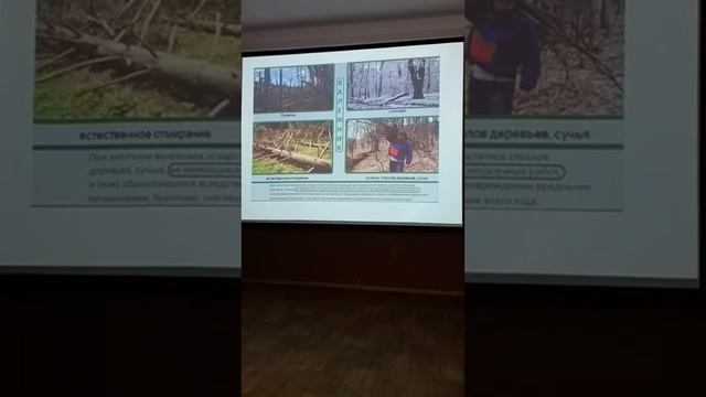 Лесной кодекс и туризм. Союз гидов. Экология. Камчатка.2022