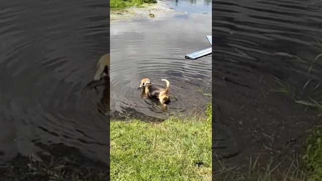 Лето ☀️ это круто!