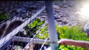 Большая страусиная ферма. Очень шикарные и гордые птицы.