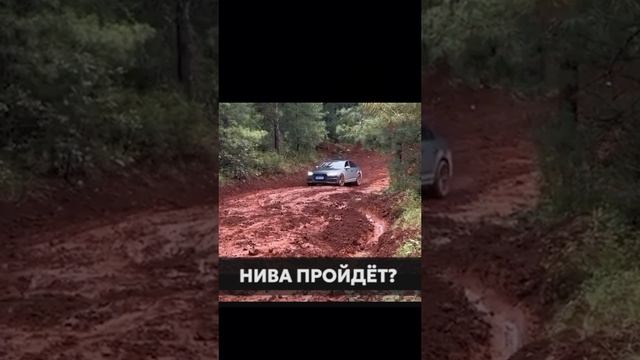 Когда нет Нивы, но есть Ауди. Иномарка по бездорожью.