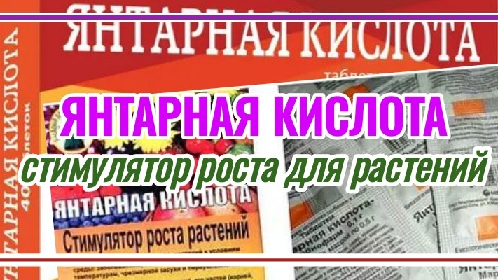 Янтаря кислота (стимулятор роста)