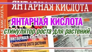 Янтаря кислота (стимулятор роста)