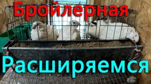 Разгребаю склад под бройлерную комнату.  Планируется расширение птичьего поголовья.