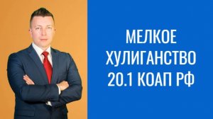 Адвокат в Москве: Статья 20.1 КоАП РФ - Мелкое Хулиганство