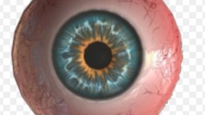 прохождение A 1-100