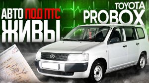 КТО И ЗАЧЕМ ВОЗИТ КОНСТРУКТОРЫ ПОД ПТС В 2025 ГОДУ ❓TOYOTA PROBOX ЗА 650 000Р ❗️