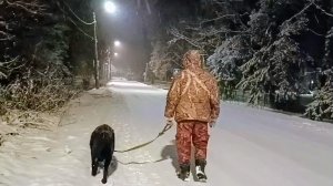 "Жизнь на пенсии".. Истинное счастье: жить среди природы🌳 🌲👍