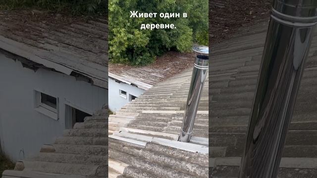 Один в деревне.Сделали  печную трубу . Помогли Дяди Коли.  Заброшенные места. Заброшенная деревня.