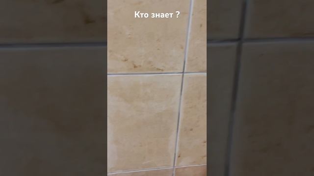 Восстанавливаем старое плиточное покрытие на стене. Восстановление старой плитки. Часть 1.расчистка