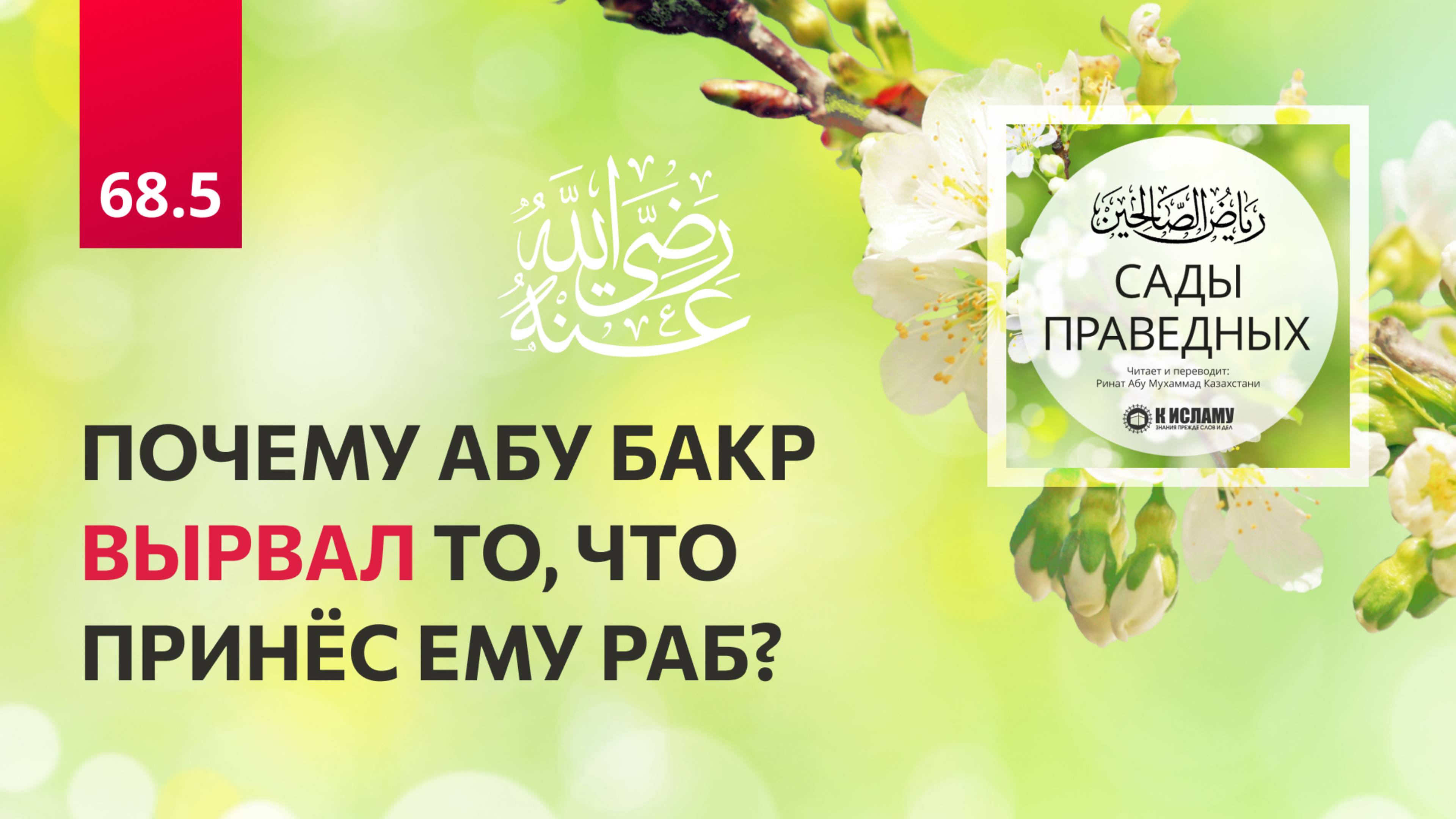 68.5 Сады праведных. Почему Абу Бакр вырвал то, что принёс ему раб? Хадис 594