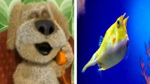 Бен оценивает рыб