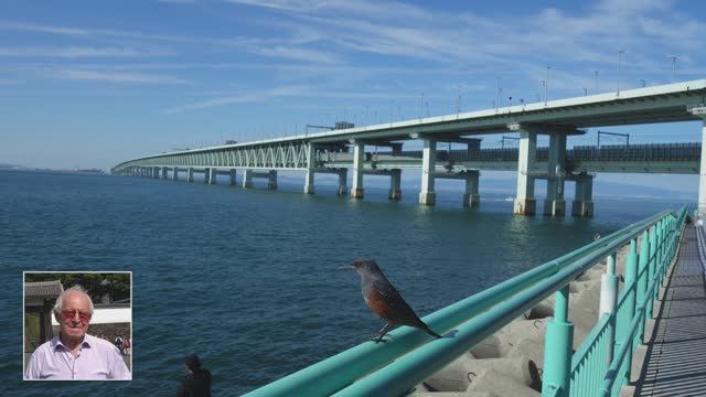 Мощный мост через море к аэропорту Осаки - самый длинный двухуровневый мост в мире смотреть онлайн