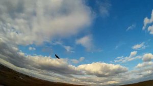 04.10.2014  Пушкари 2