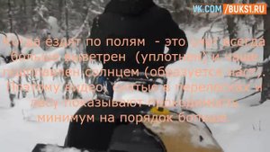 Мототолкач Ураган Волк, склиз, настоящий пухляк в лесу, мотобуксировщик
