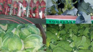 04-01-2025г Цены сегодня рынок Копани Херсонская область.